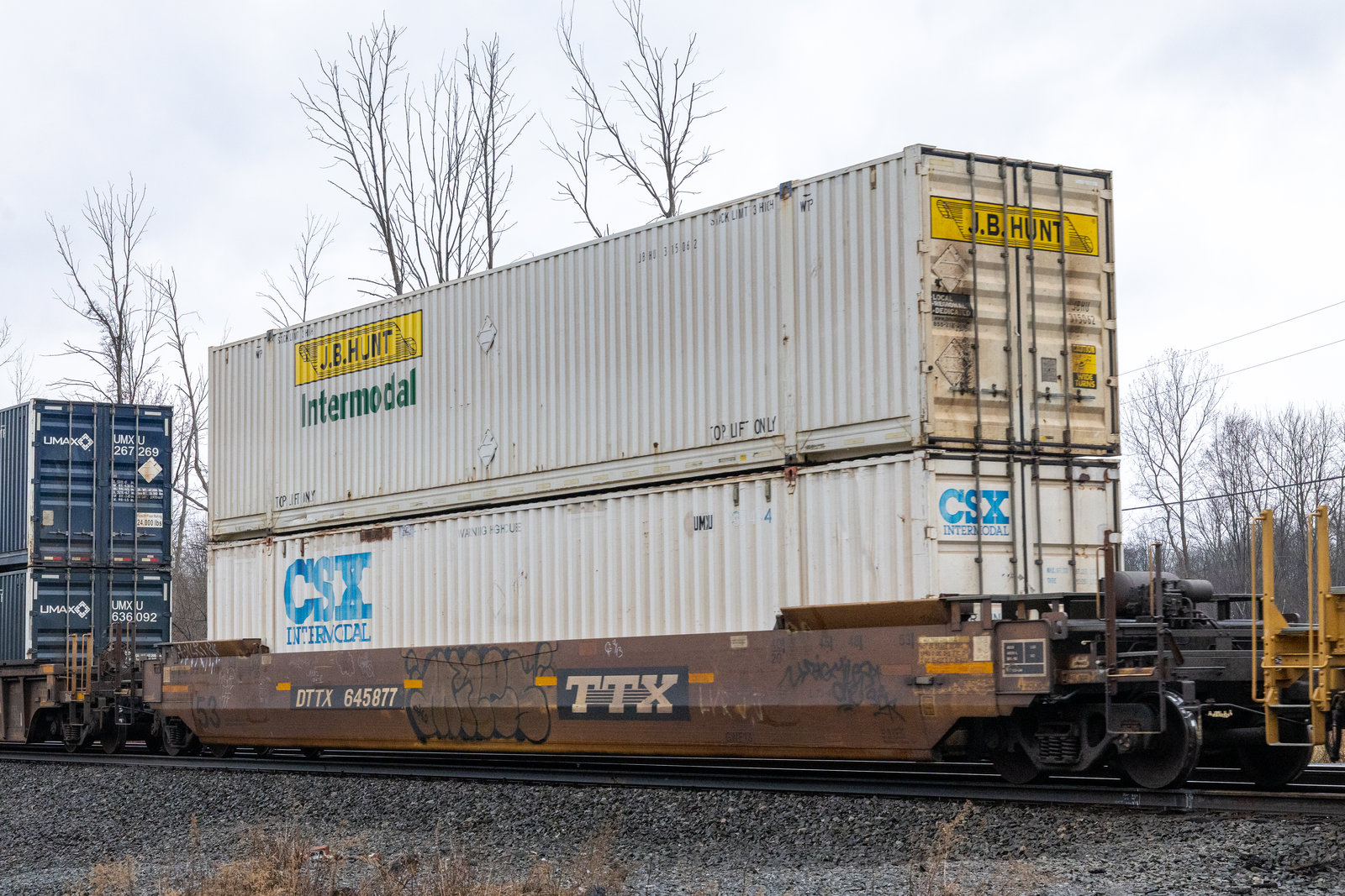 DTTX 645877