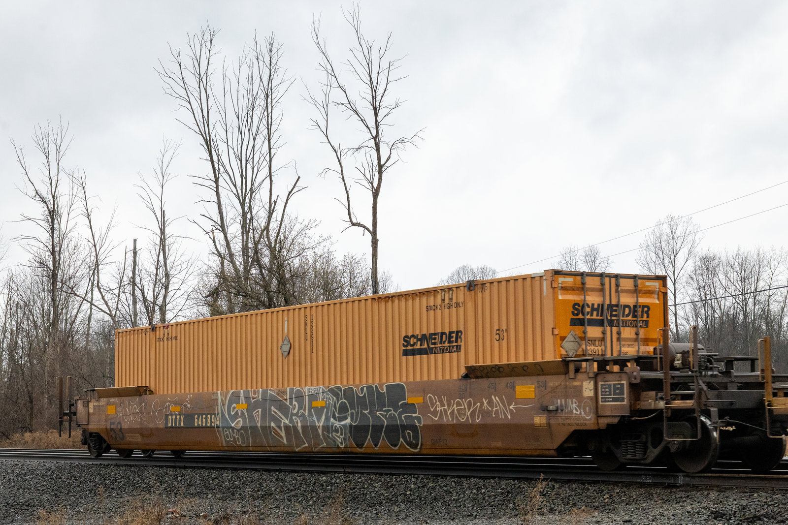 DTTX 646894