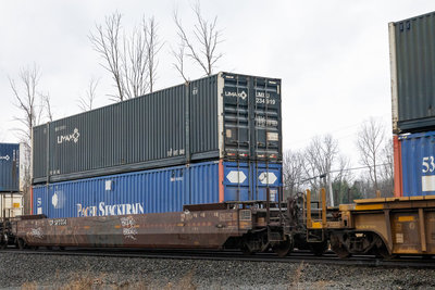 CP 527354