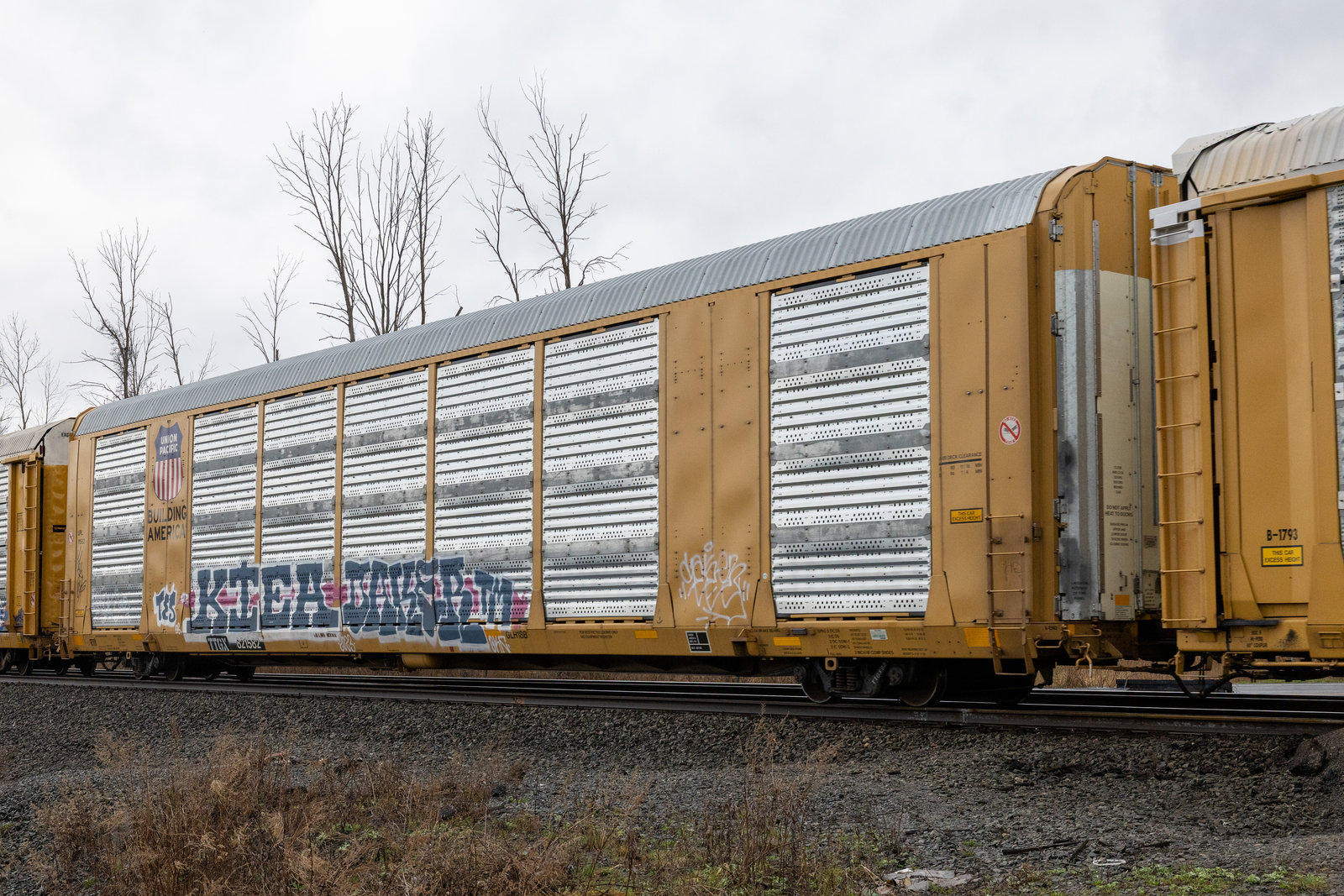 TTGX 821582