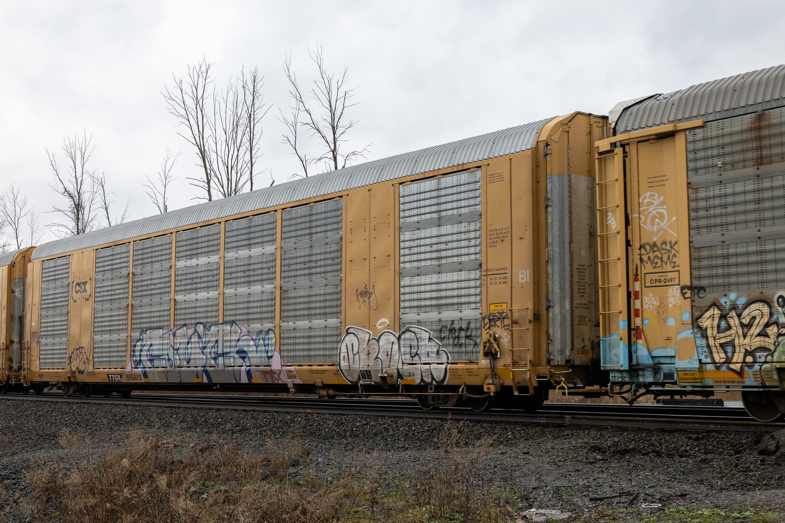 TTGX 695613