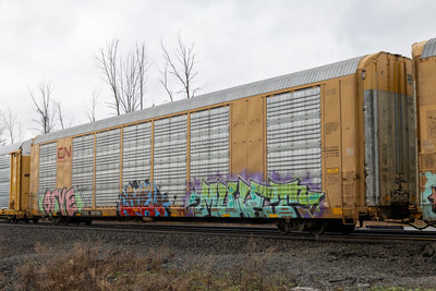 TTGX 697091