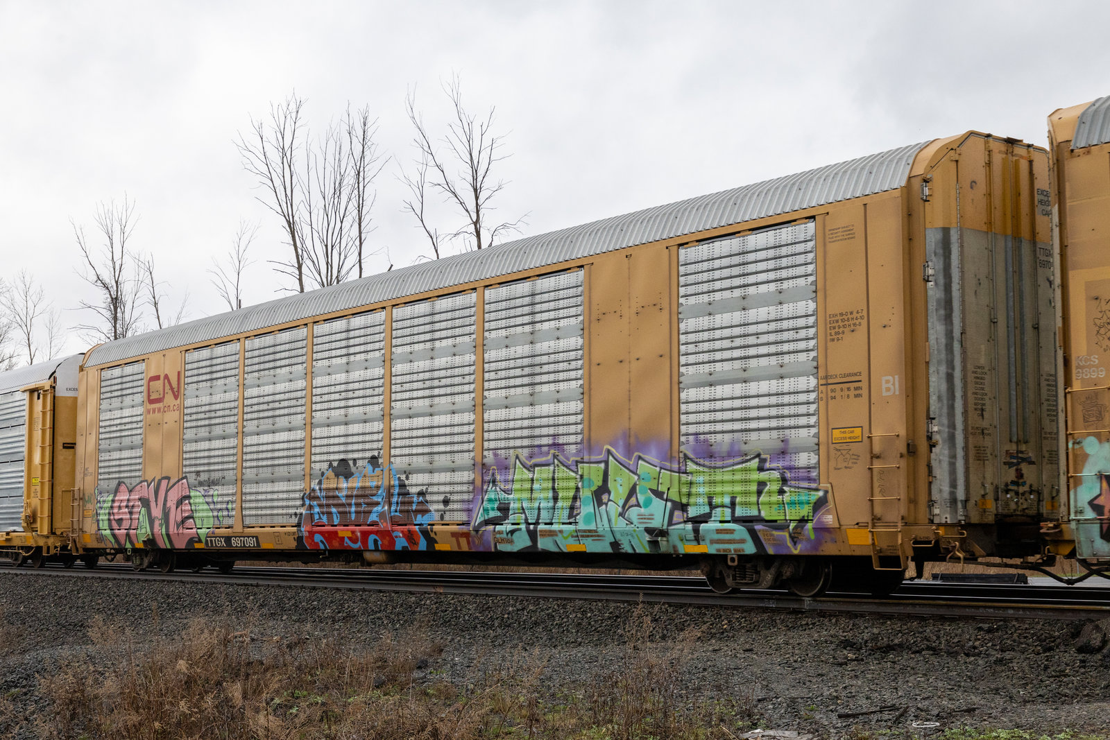 TTGX 697091