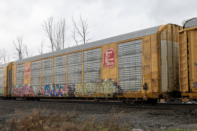 TTGX 691873