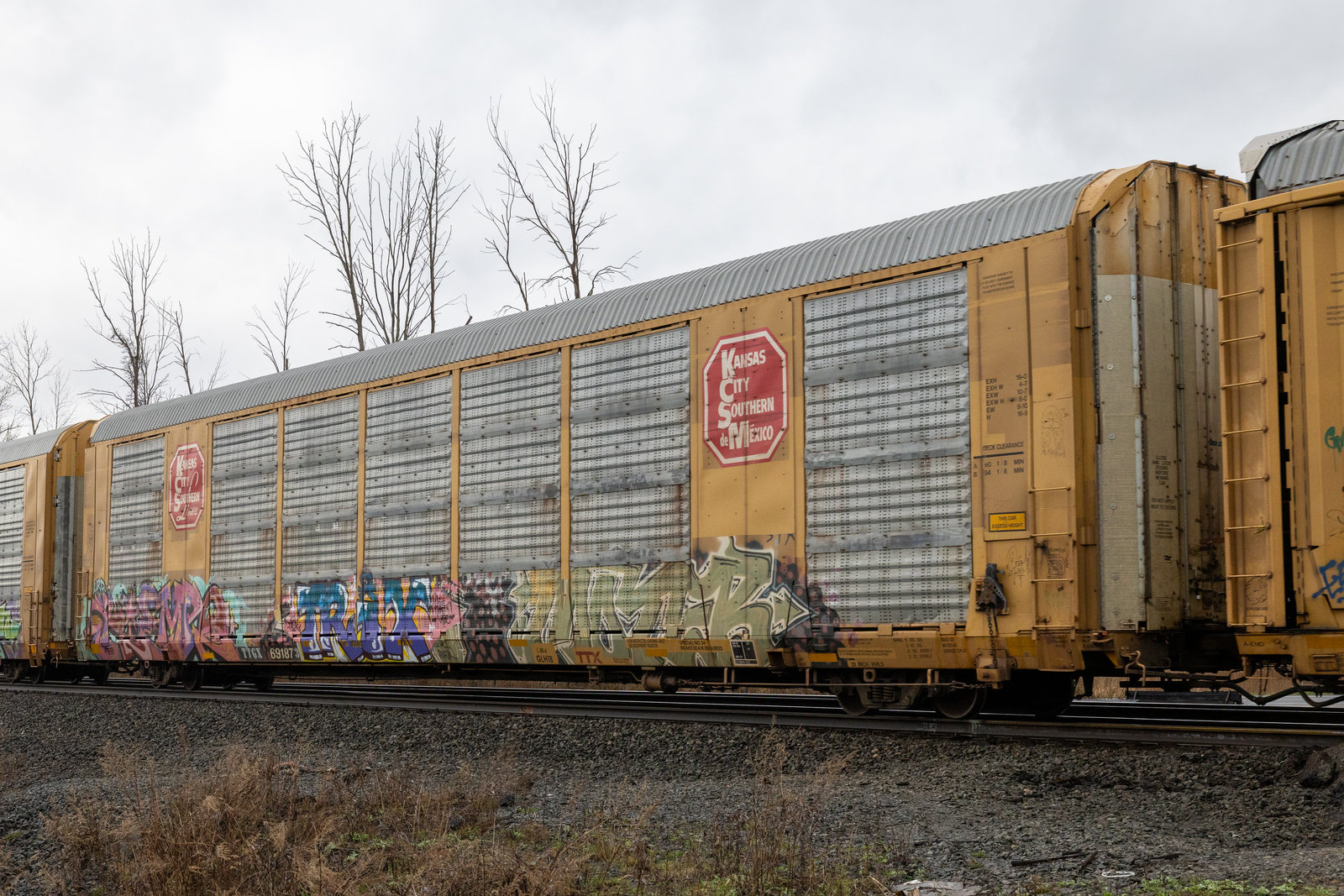 TTGX 691873