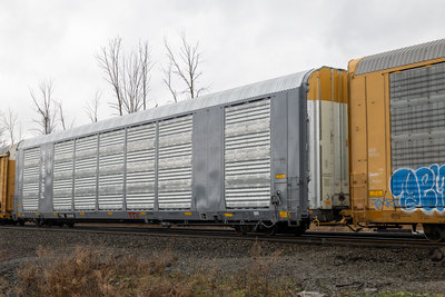 TTGX 824818