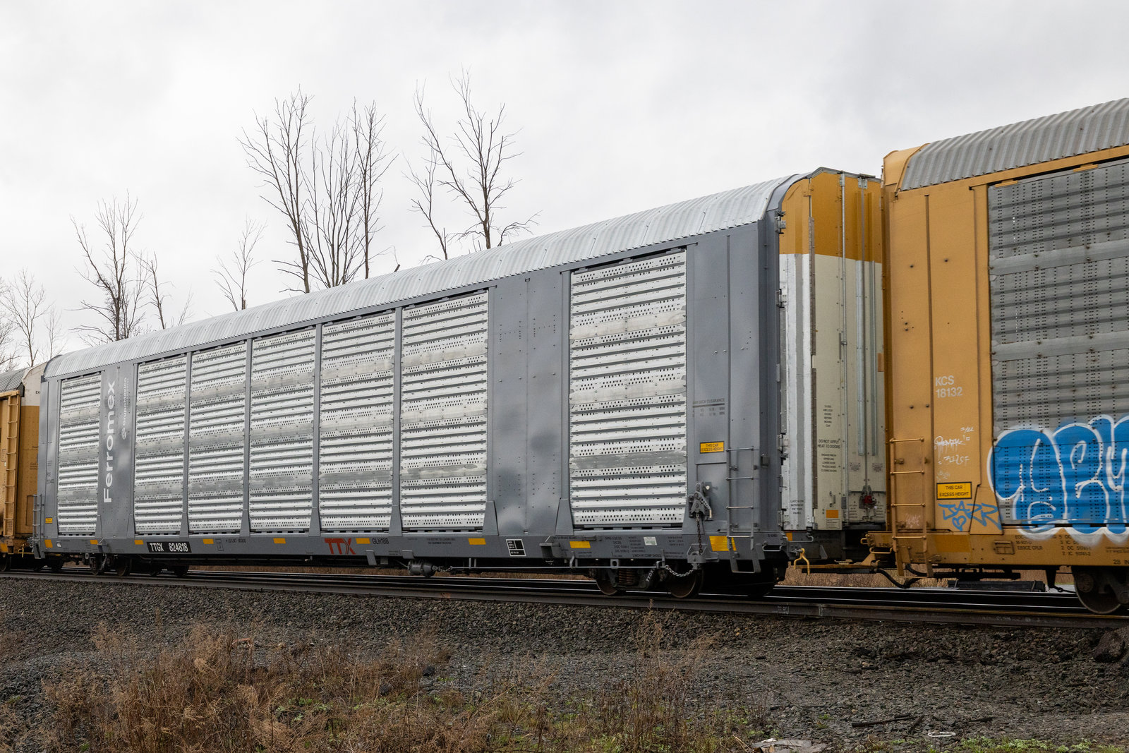 TTGX 824818