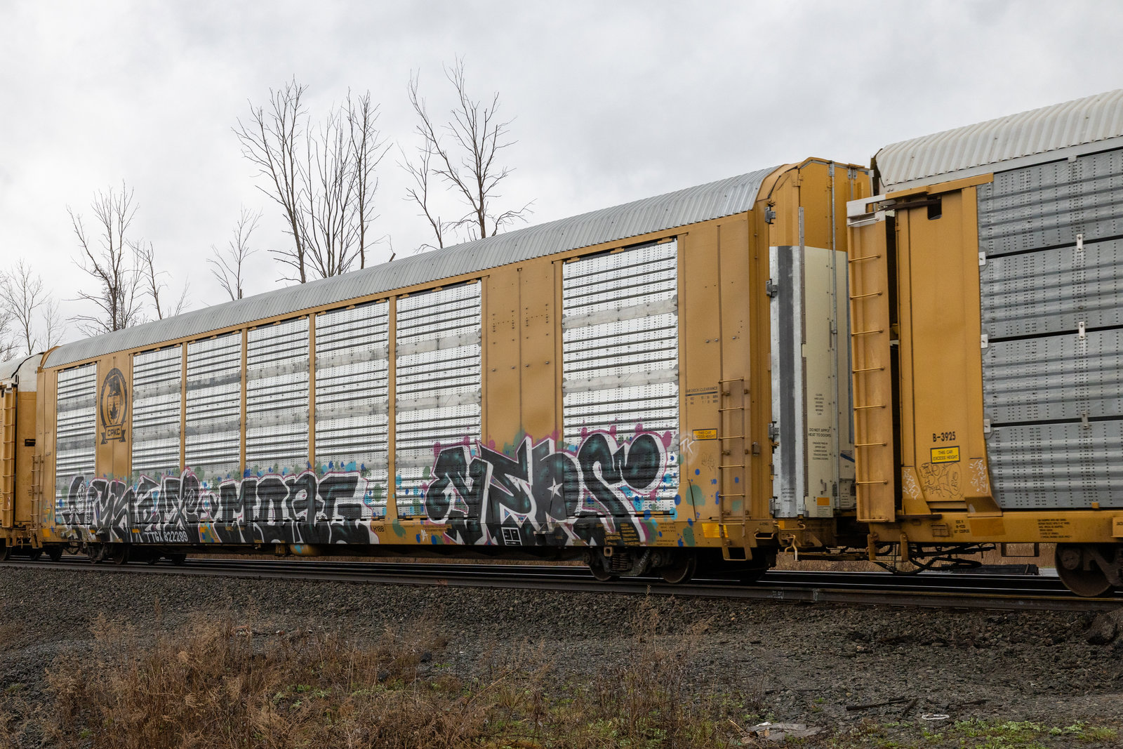 TTGX 822299