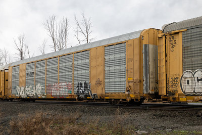 TTGX 698042