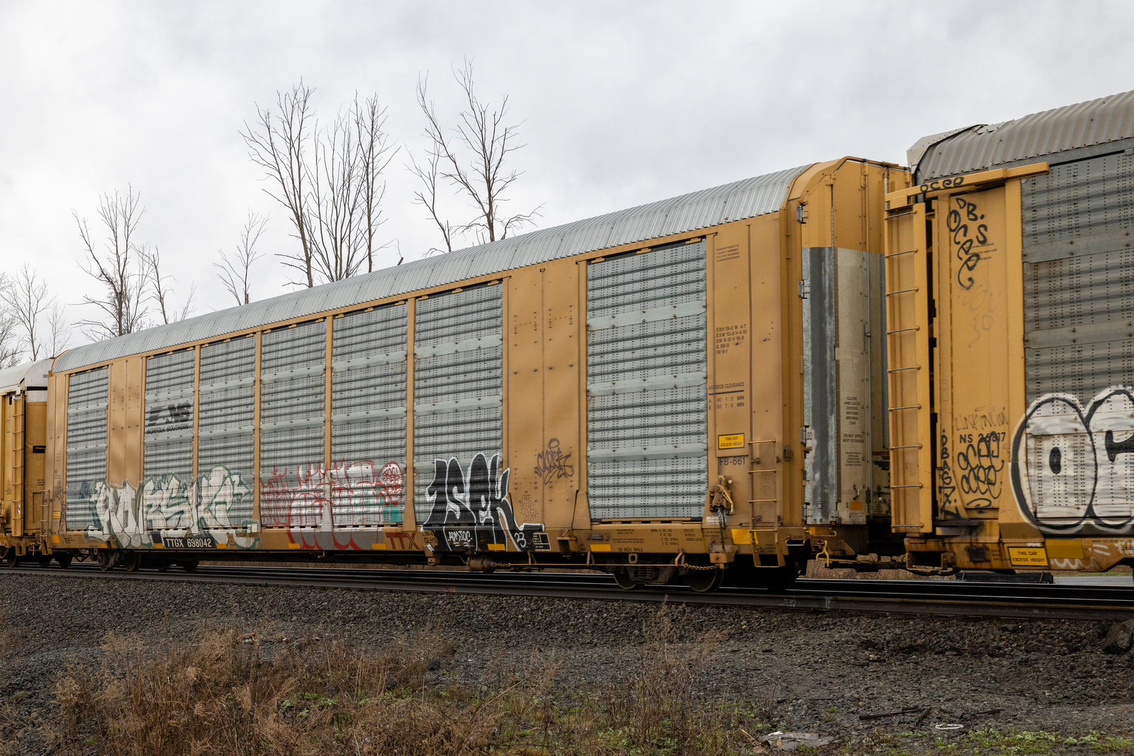 TTGX 698042