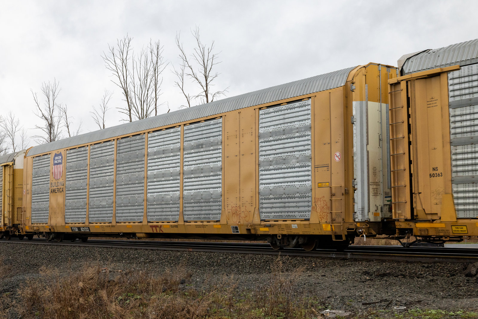 TTGX 821722