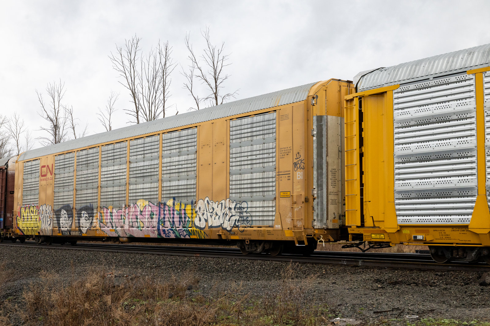 TTGX 696802