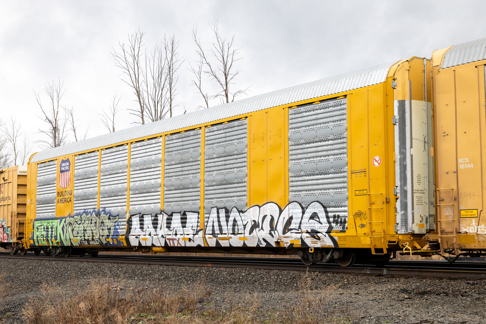 TTGX 698844