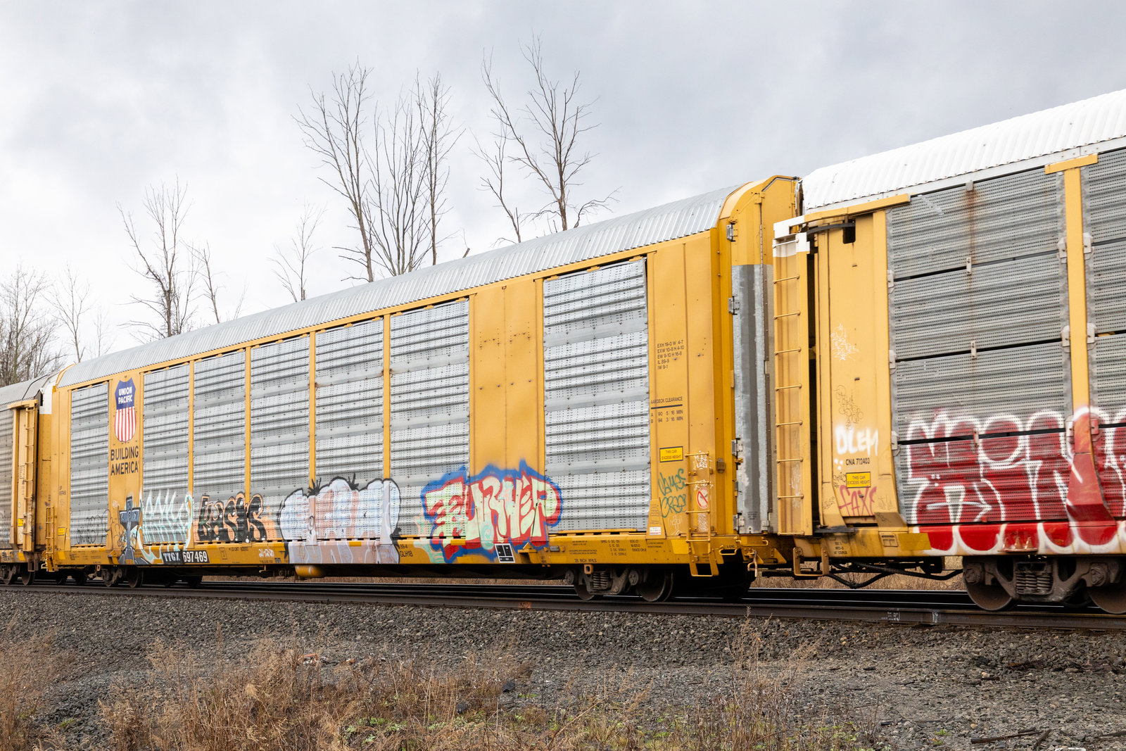 TTGX 697469