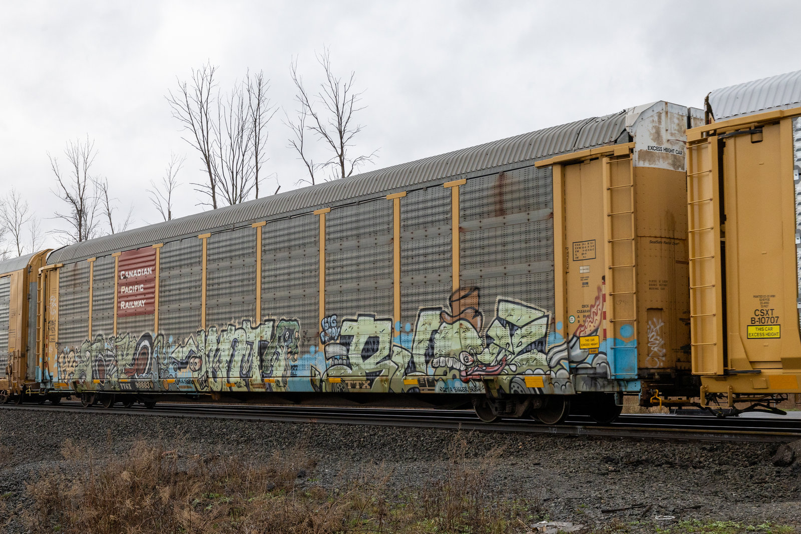 TTGX 988830
