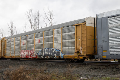 TTGX 705091
