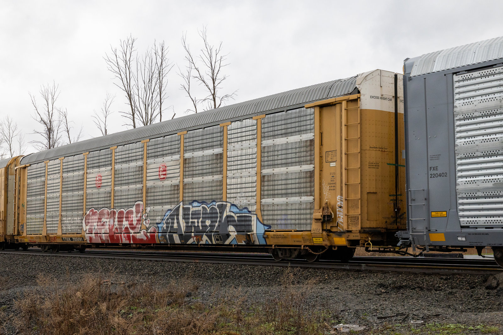 TTGX 705091