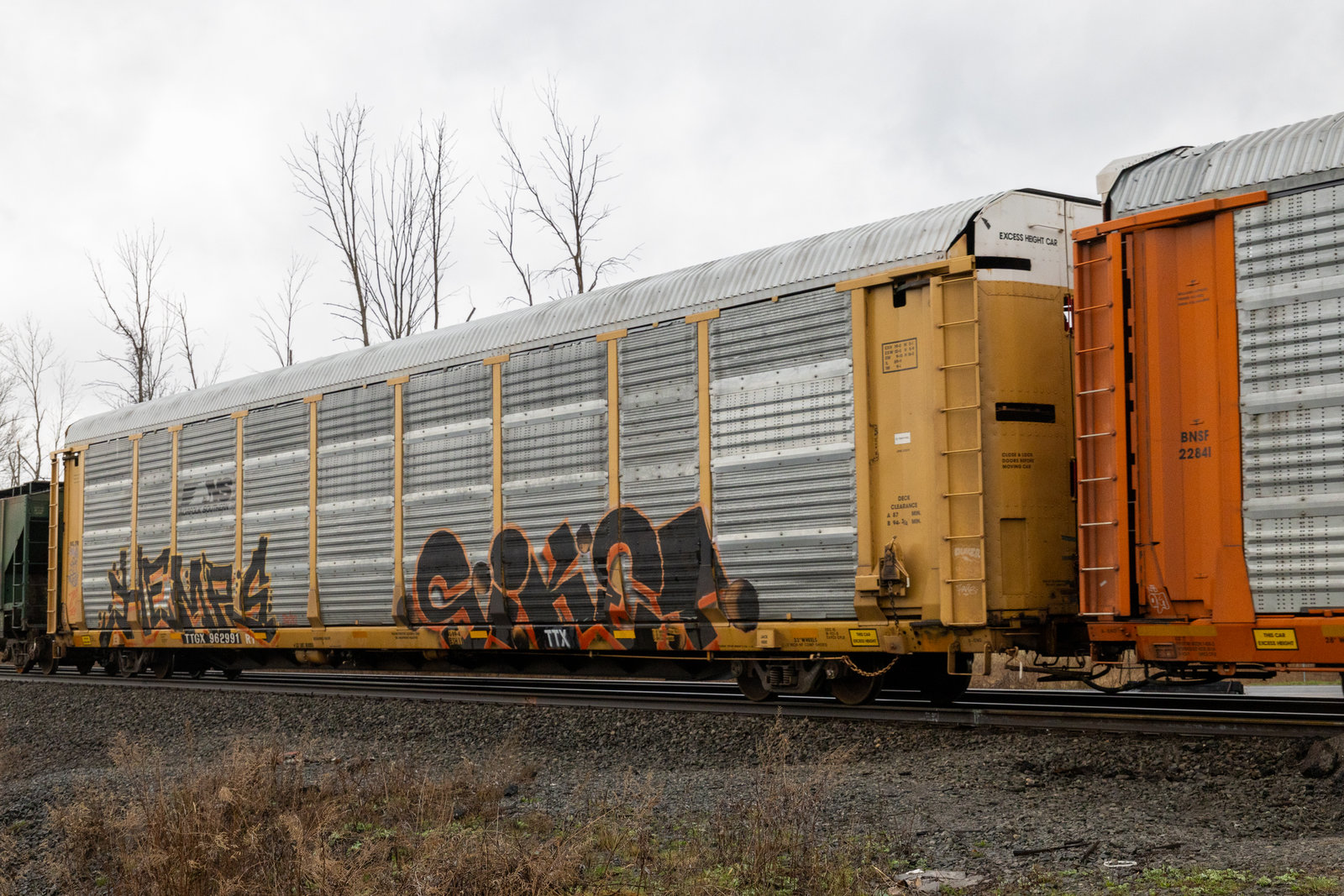 TTGX 962991