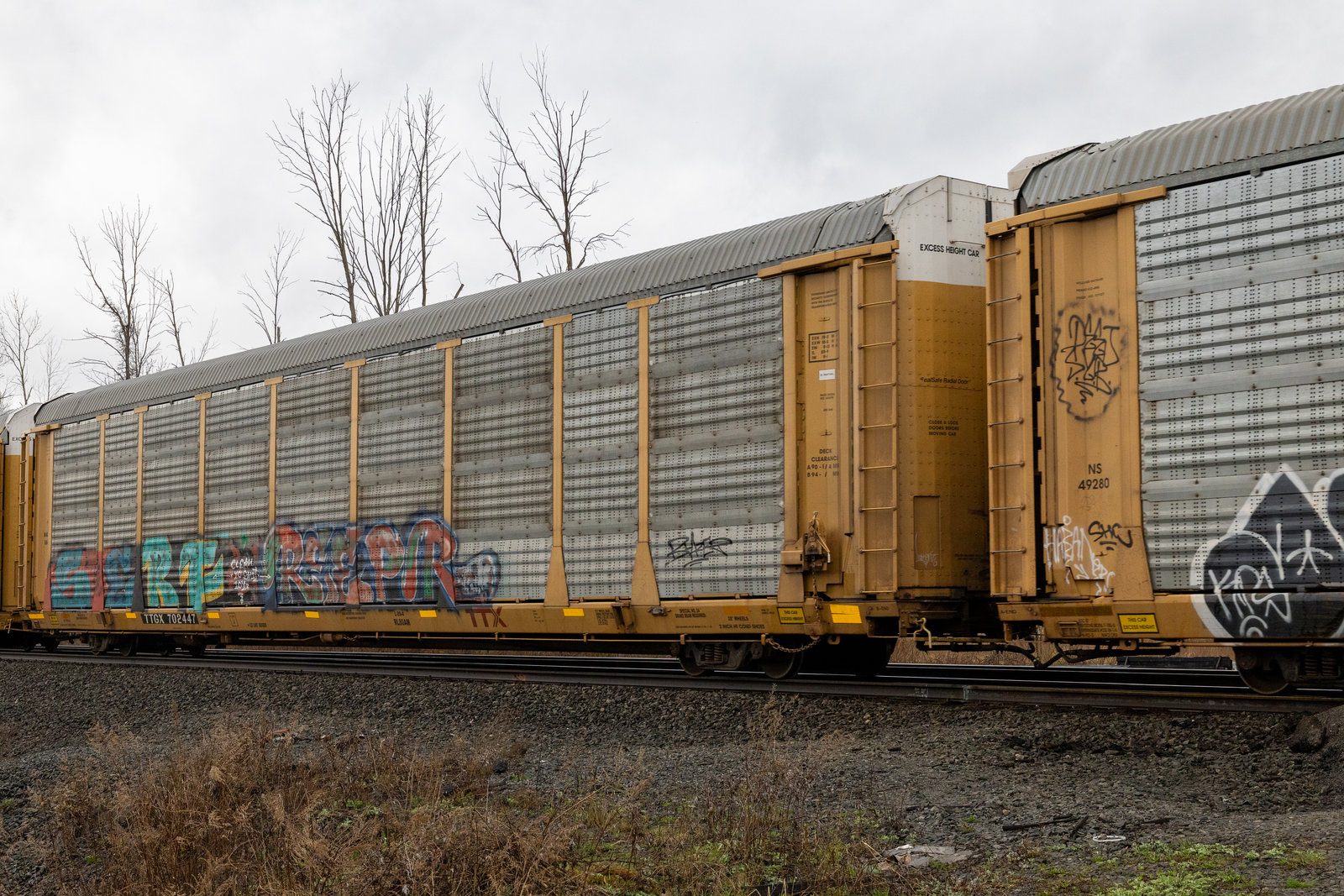 TTGX 702447