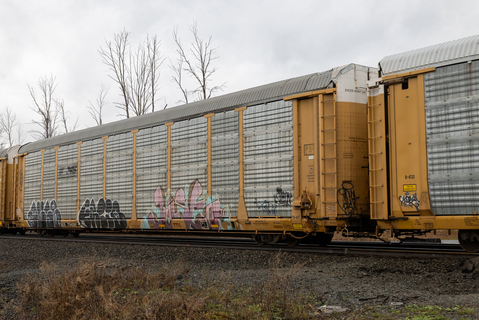 TTGX 704282
