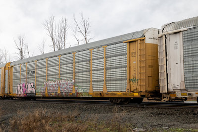 TTGX 707059