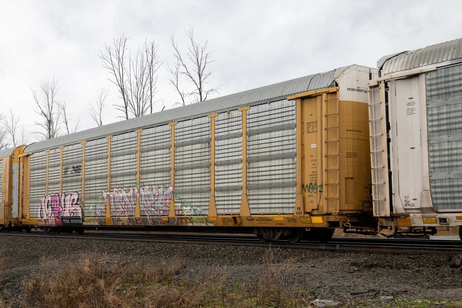 TTGX 707059