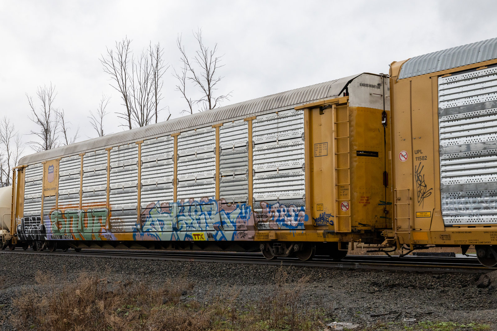 TTGX 971502