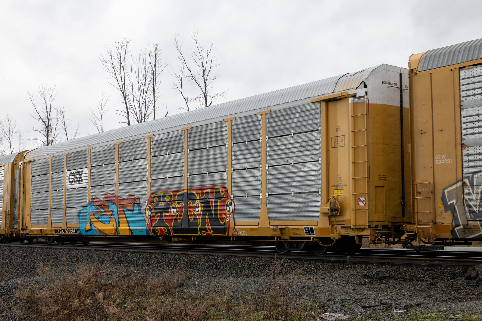 TTGX 986204