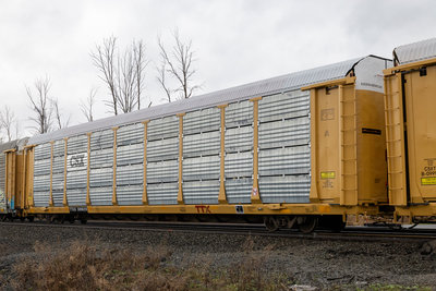TTGX 991620