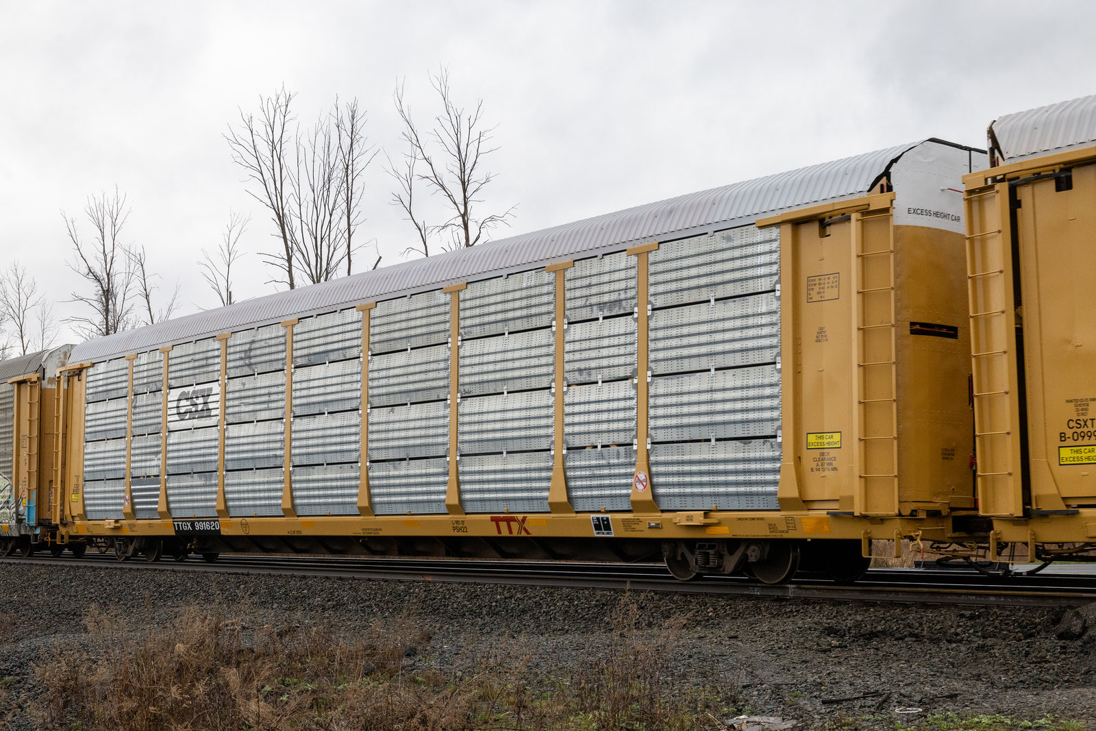 TTGX 991620