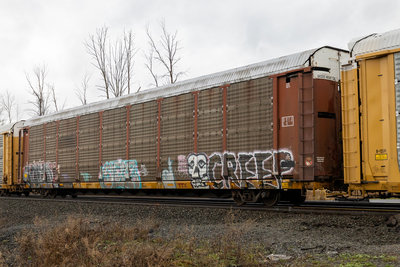 TTGX 157530