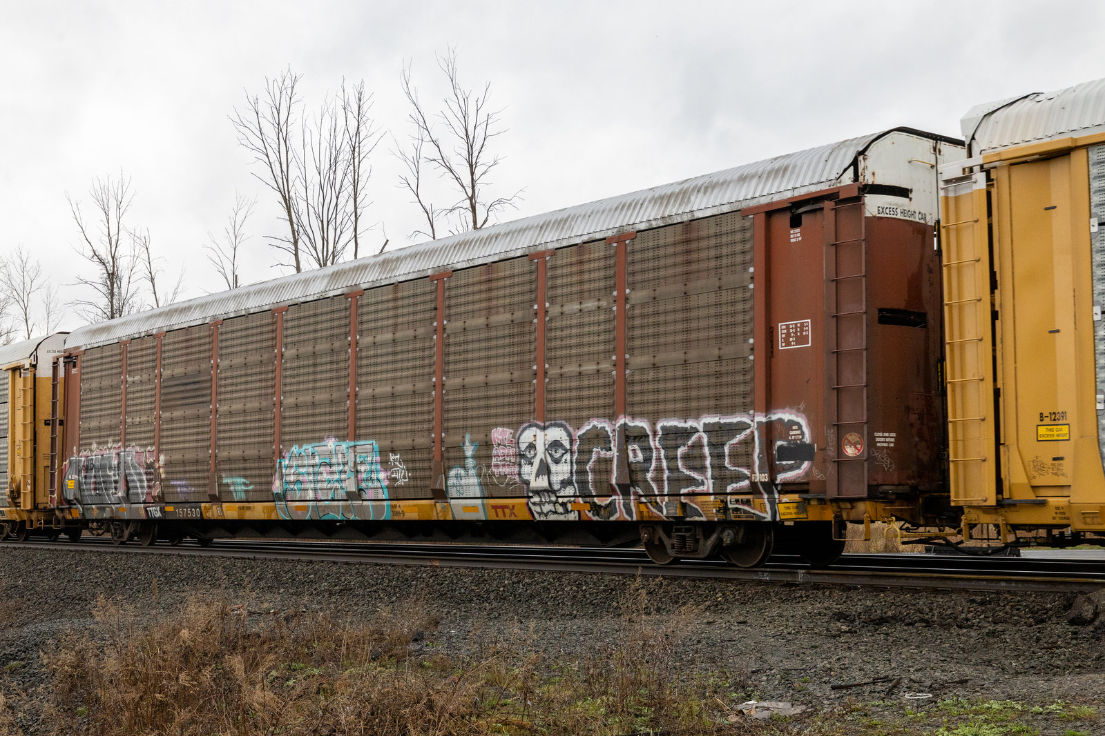 TTGX 157530