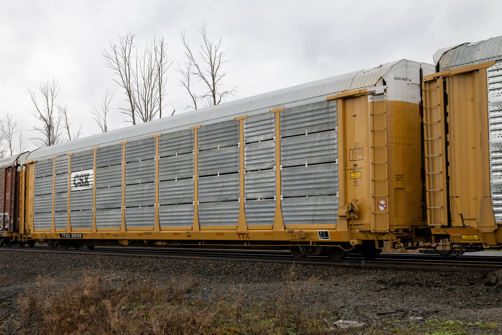 TTGX 995418