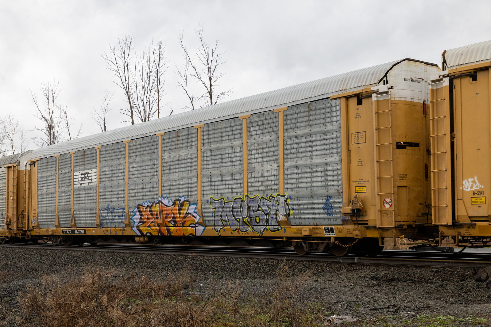 TTGX 160797