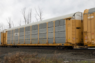 TTGX 253565