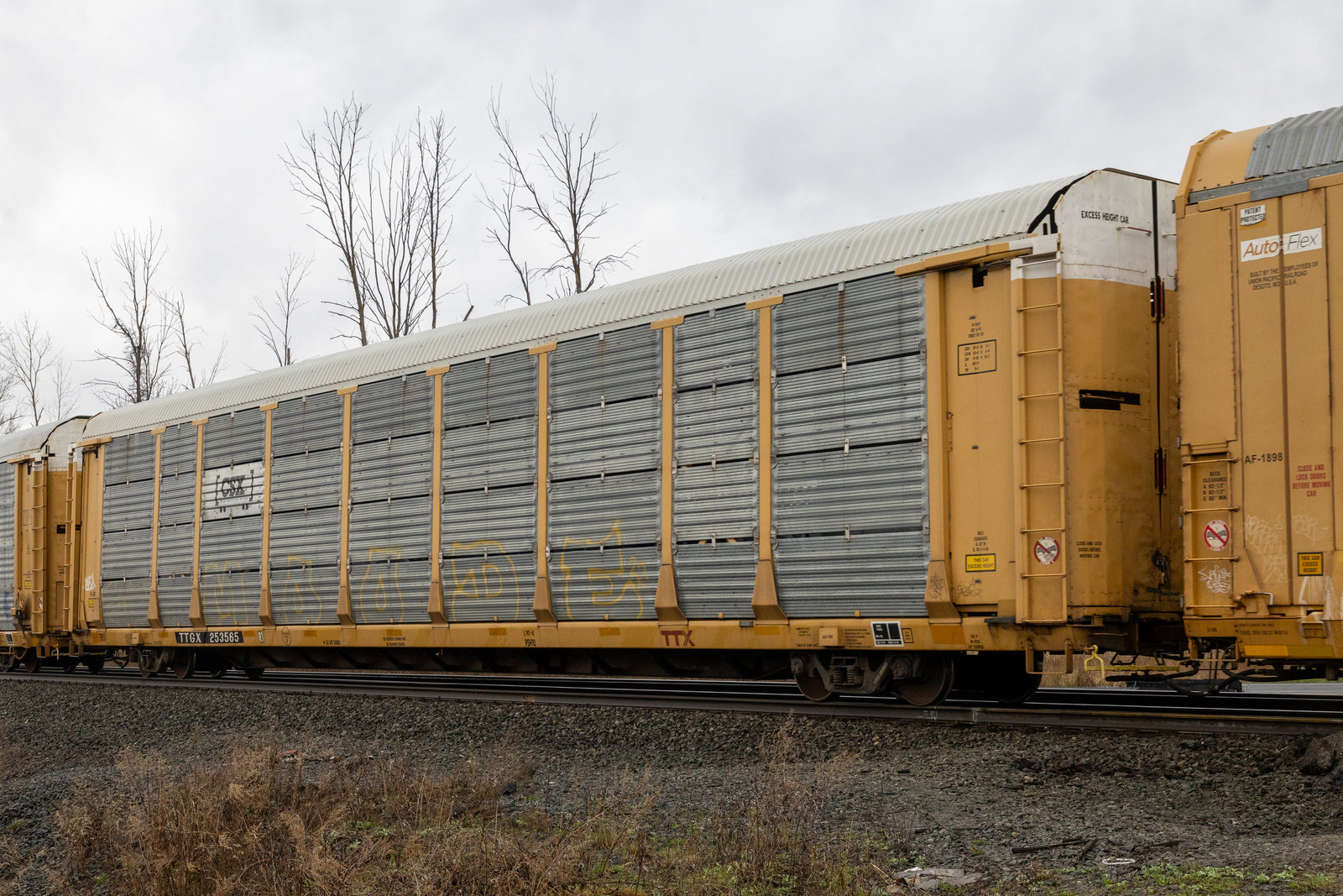 TTGX 253565