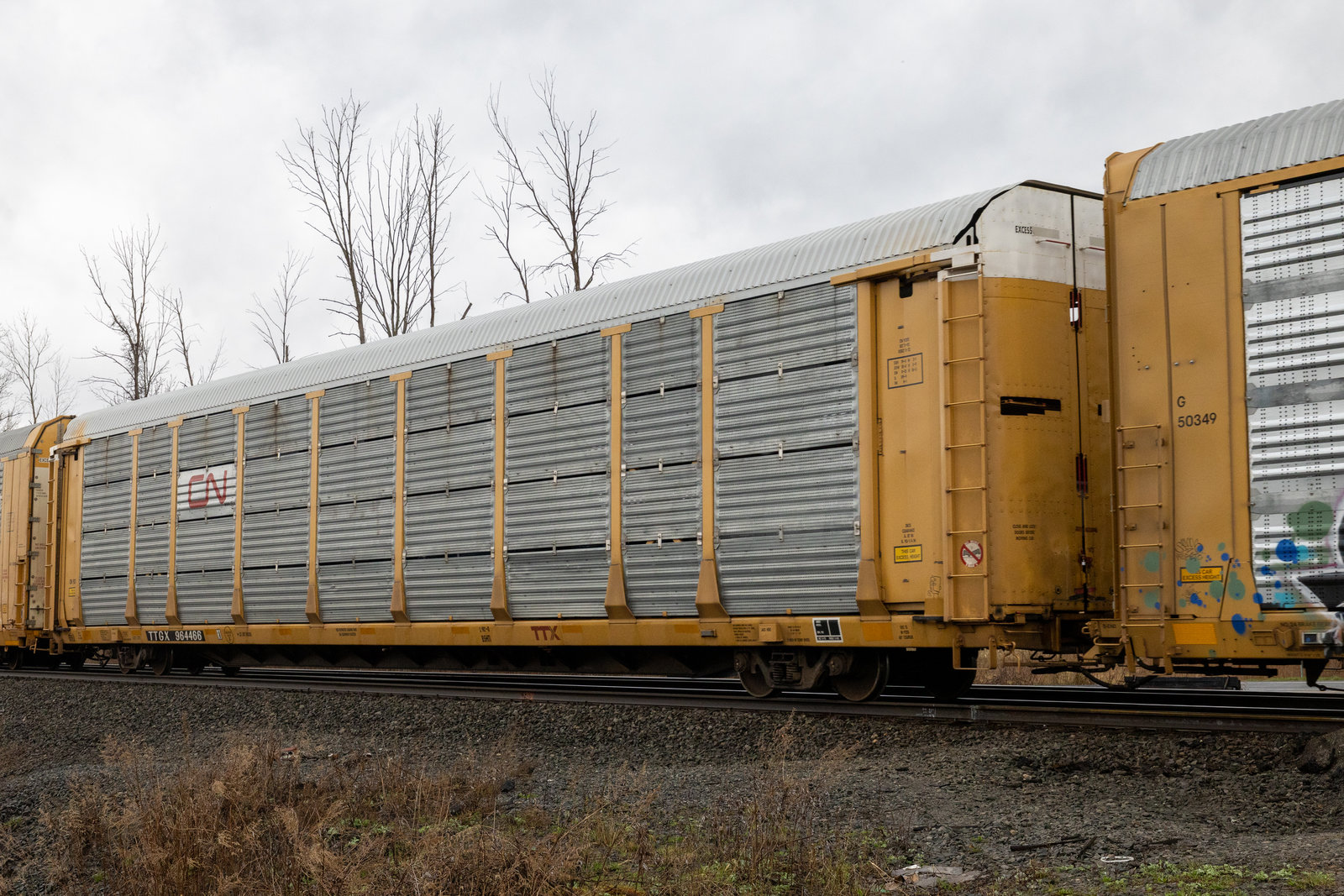 TTGX 964466