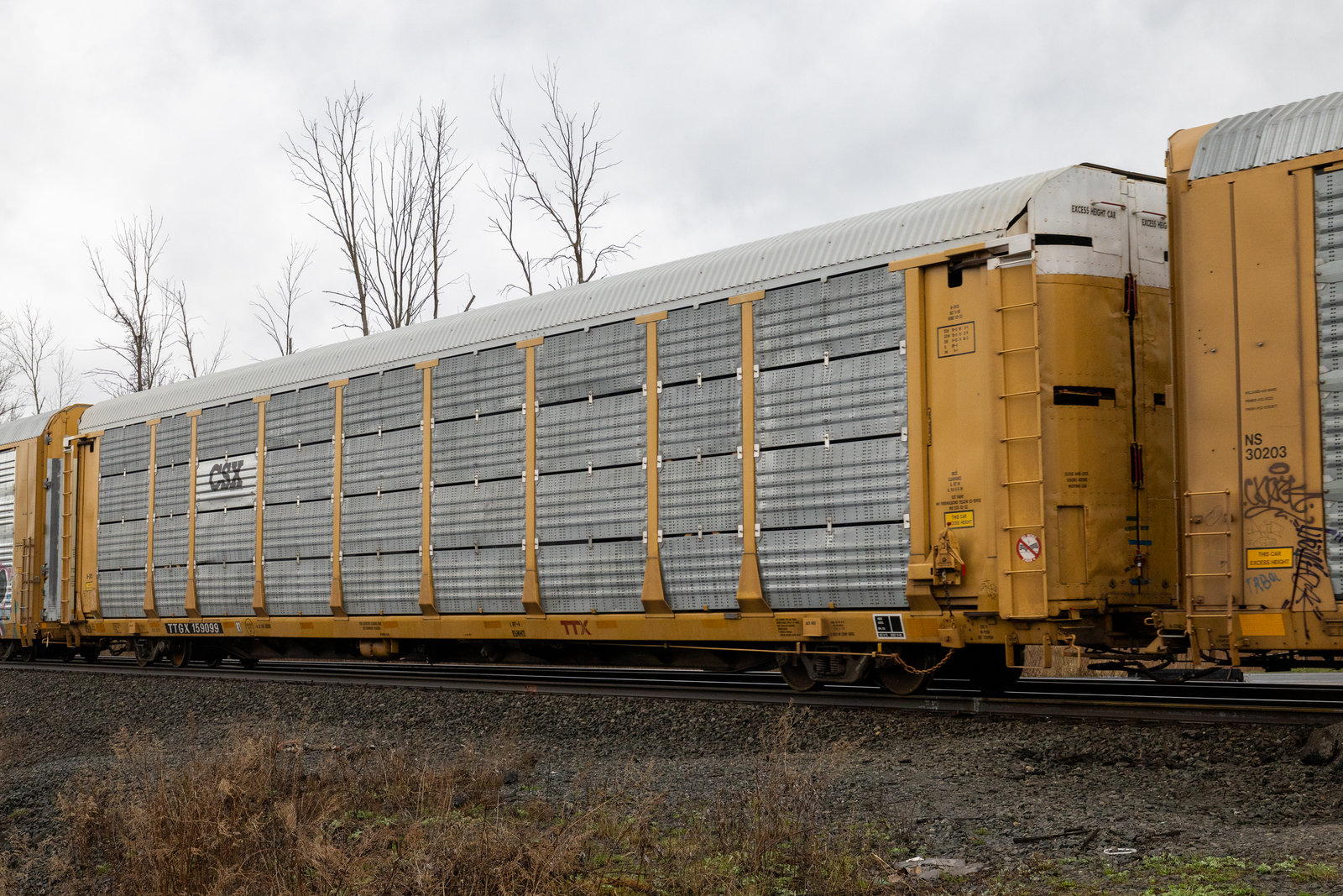 TTGX 159099