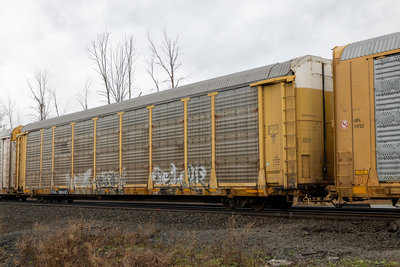 TTGX 986487