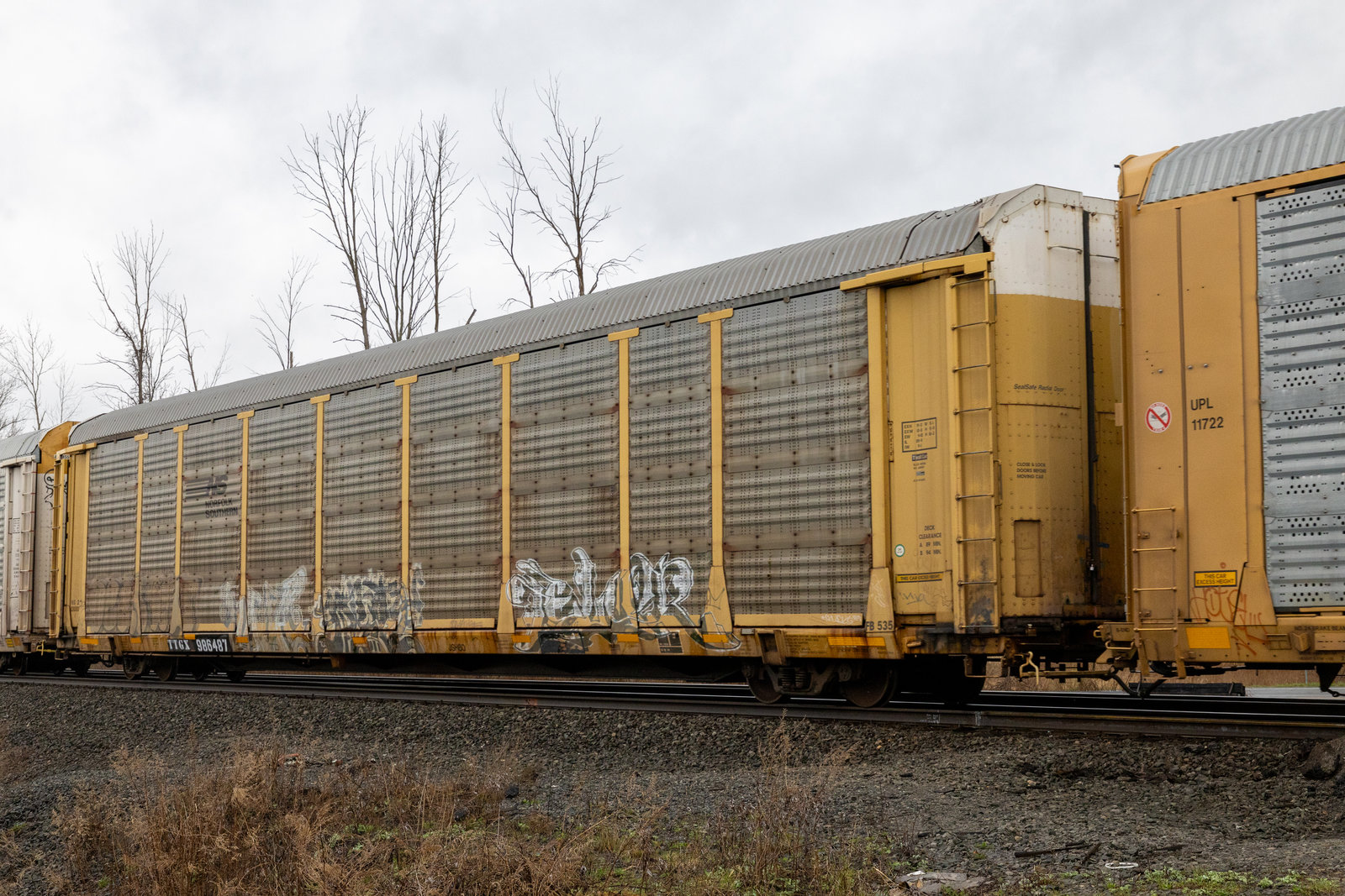 TTGX 986487