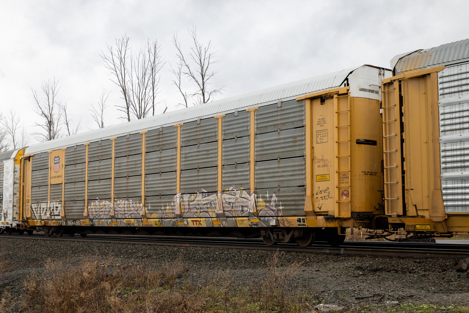 TTGX 964695