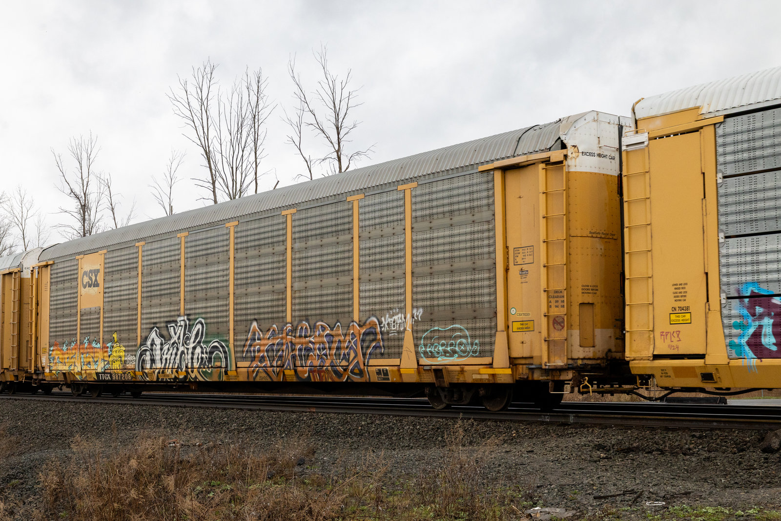 TTGX 987208