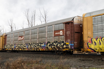 TTGX 971820