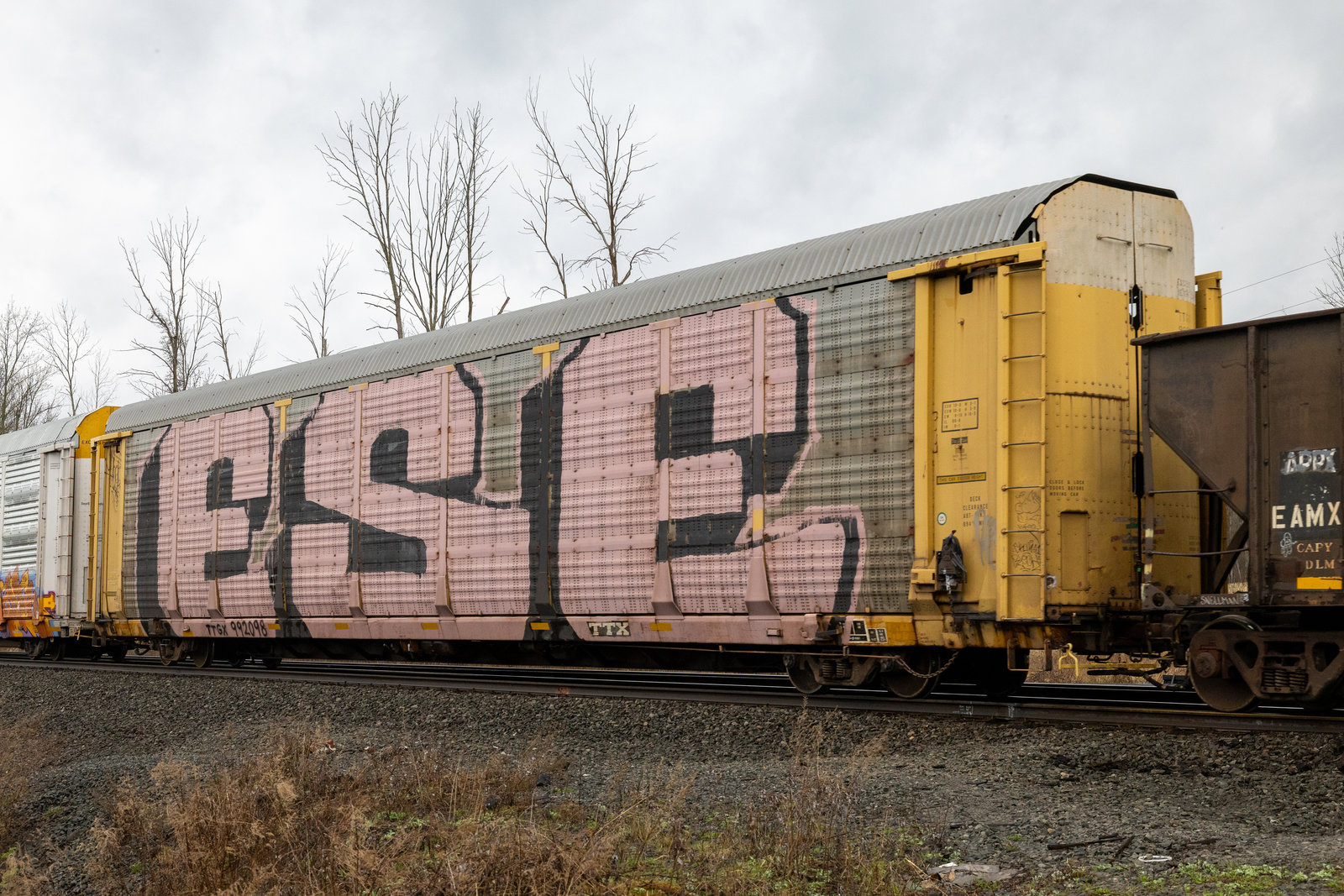 TTGX 992098