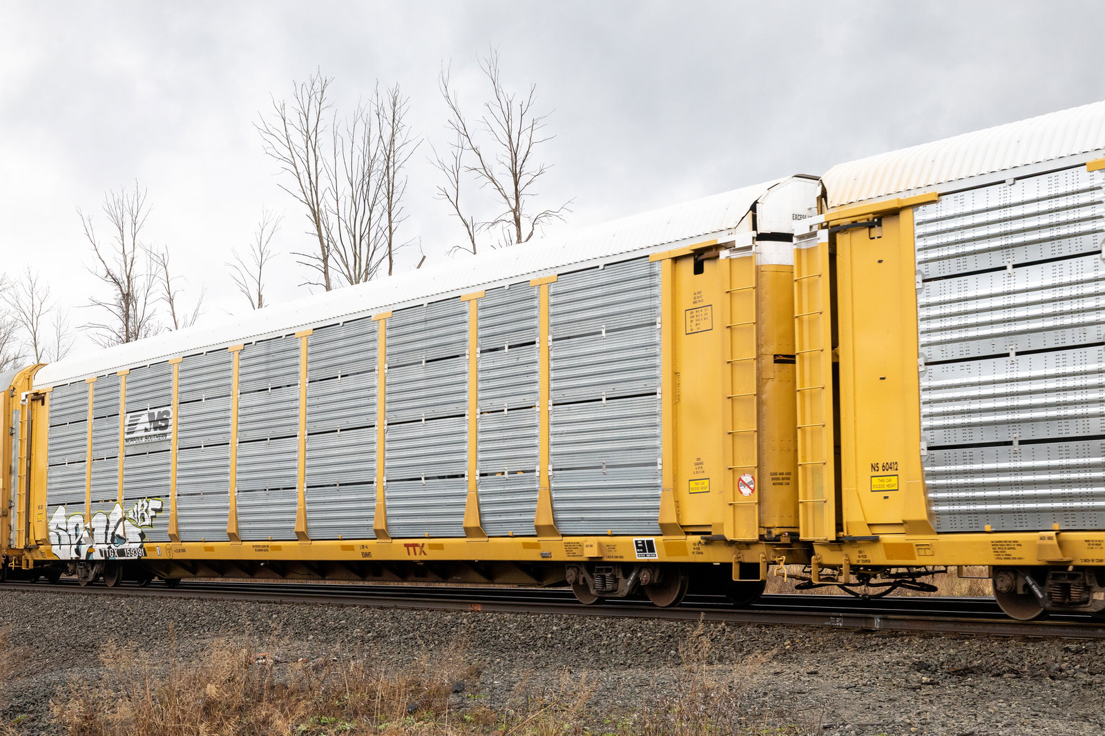 TTGX 159391
