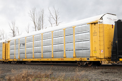 TTGX 922098