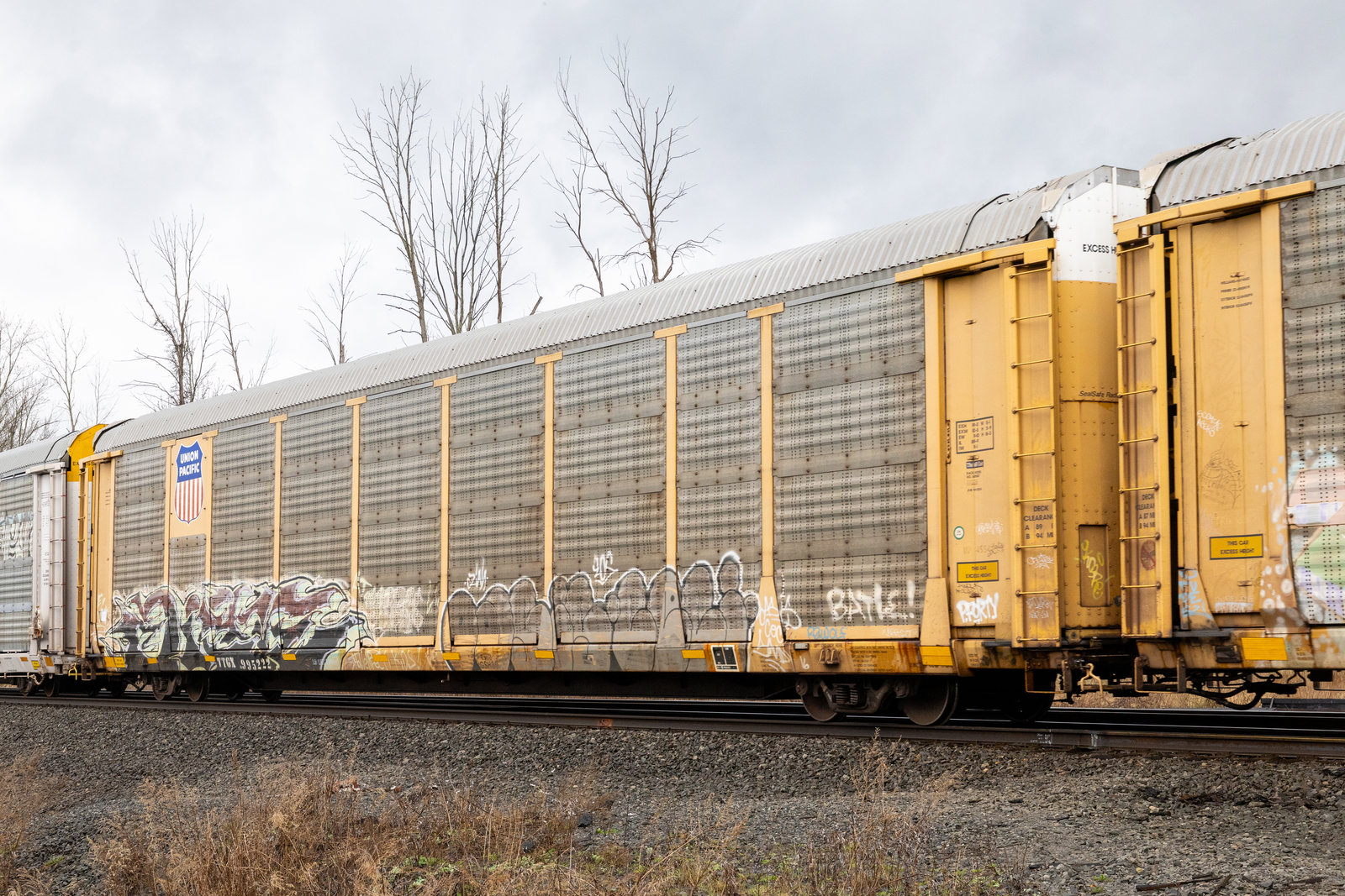 TTGX 995222