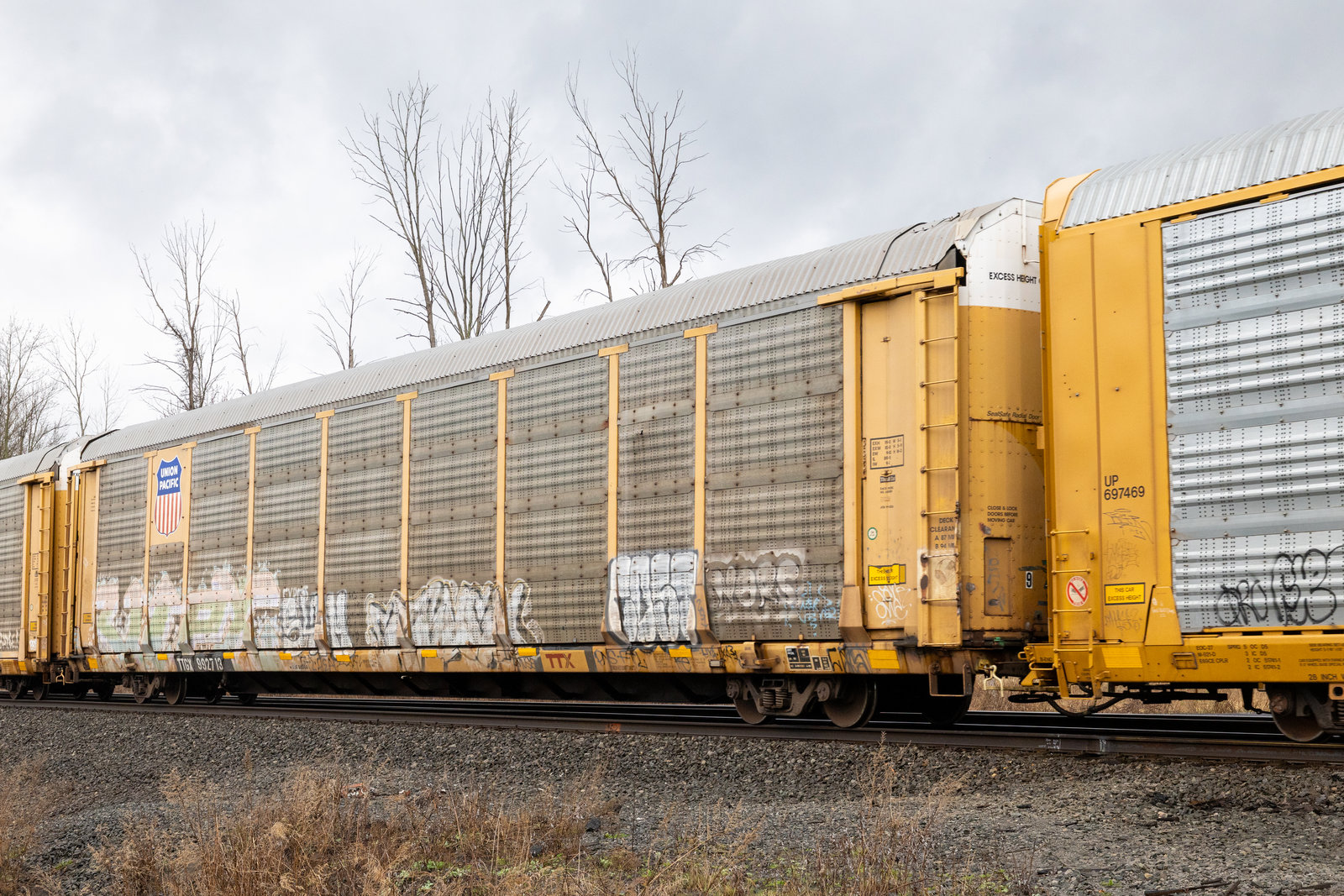 TTGX 992713