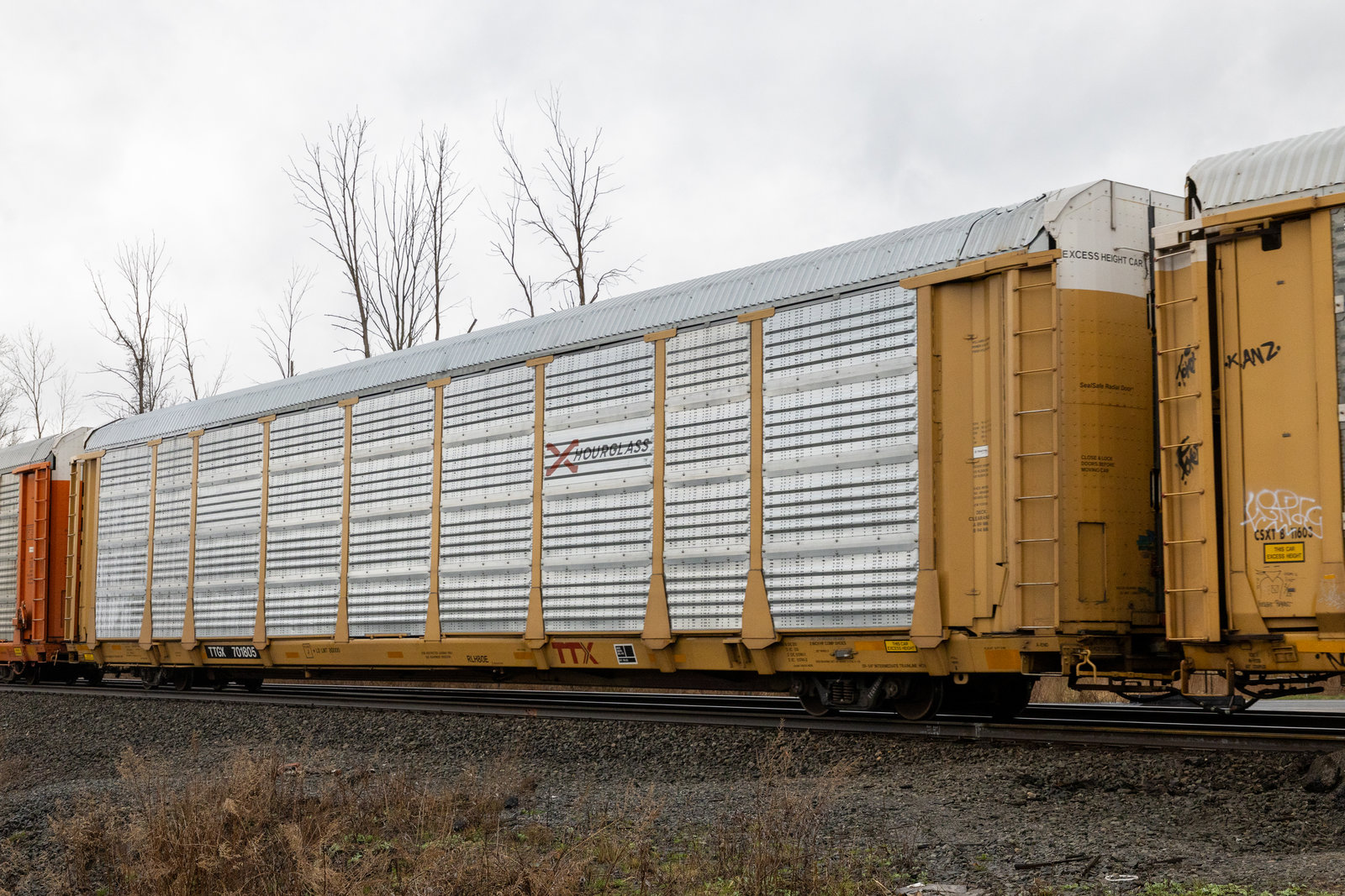 TTGX 701805