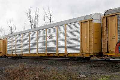 TTGX 835546
